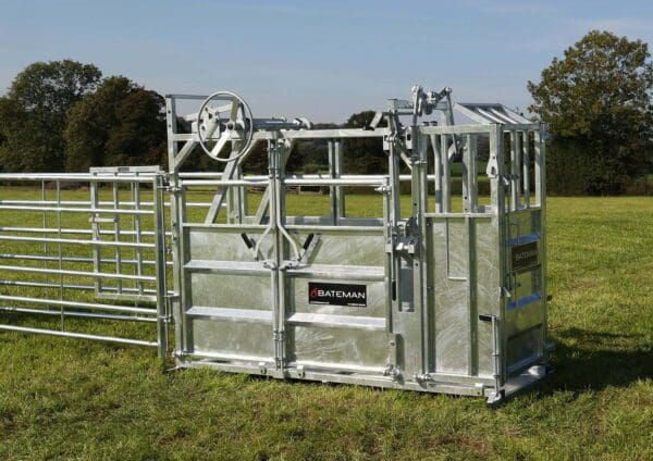 Bateman Ambassador Crush