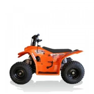 Quadzilla Buzz 50 Junior ATV