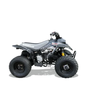 Quadzilla R100 Junior ATV