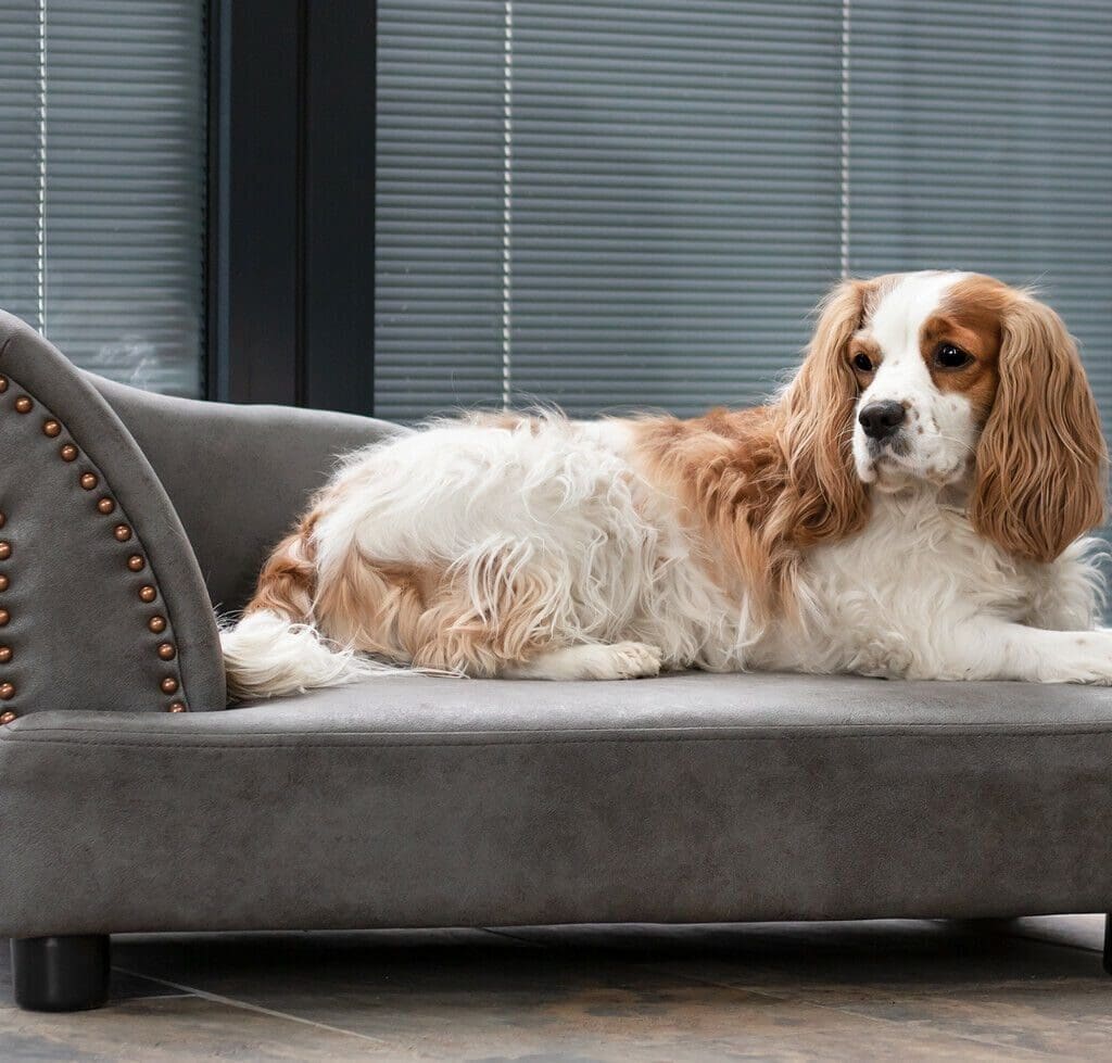Chaise Lounge Dog Sofa