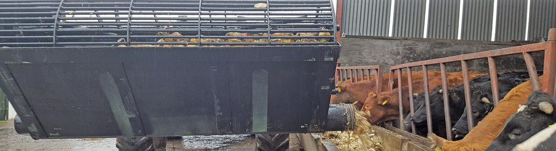 Grass Technology’s THE BEET MASTER