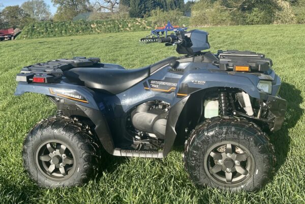 Kawasaki Brute Force 750 - Image 5